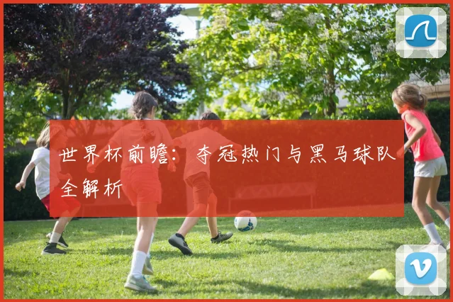 世界杯前瞻：夺冠热门与黑马球队全解析