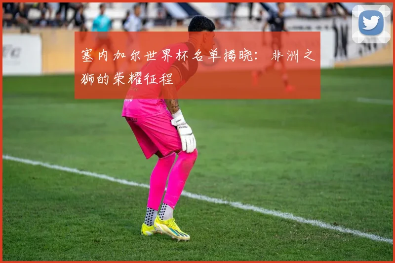 塞内加尔世界杯名单揭晓：非洲之狮的荣耀征程