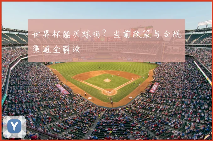 世界杯能买球吗?当前政策与合规渠道全解读