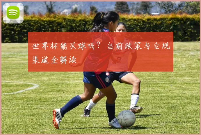 世界杯能买球吗?当前政策与合规渠道全解读
