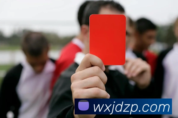 ob体育官网登录界面服务体系